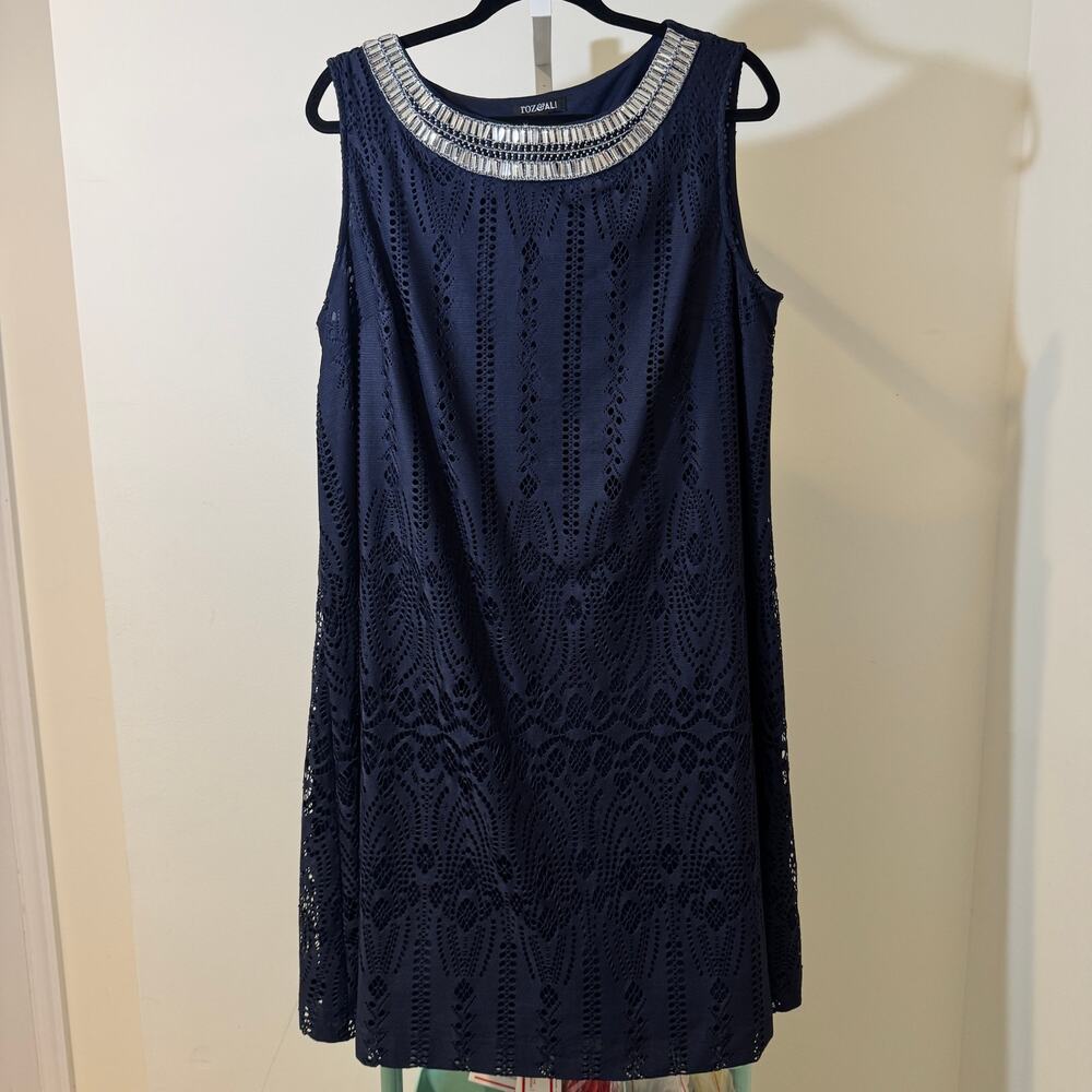 Roz & Ali Navy Blue Lace Dress Embellished Neck Sleeveless A-Line Party Cocktail